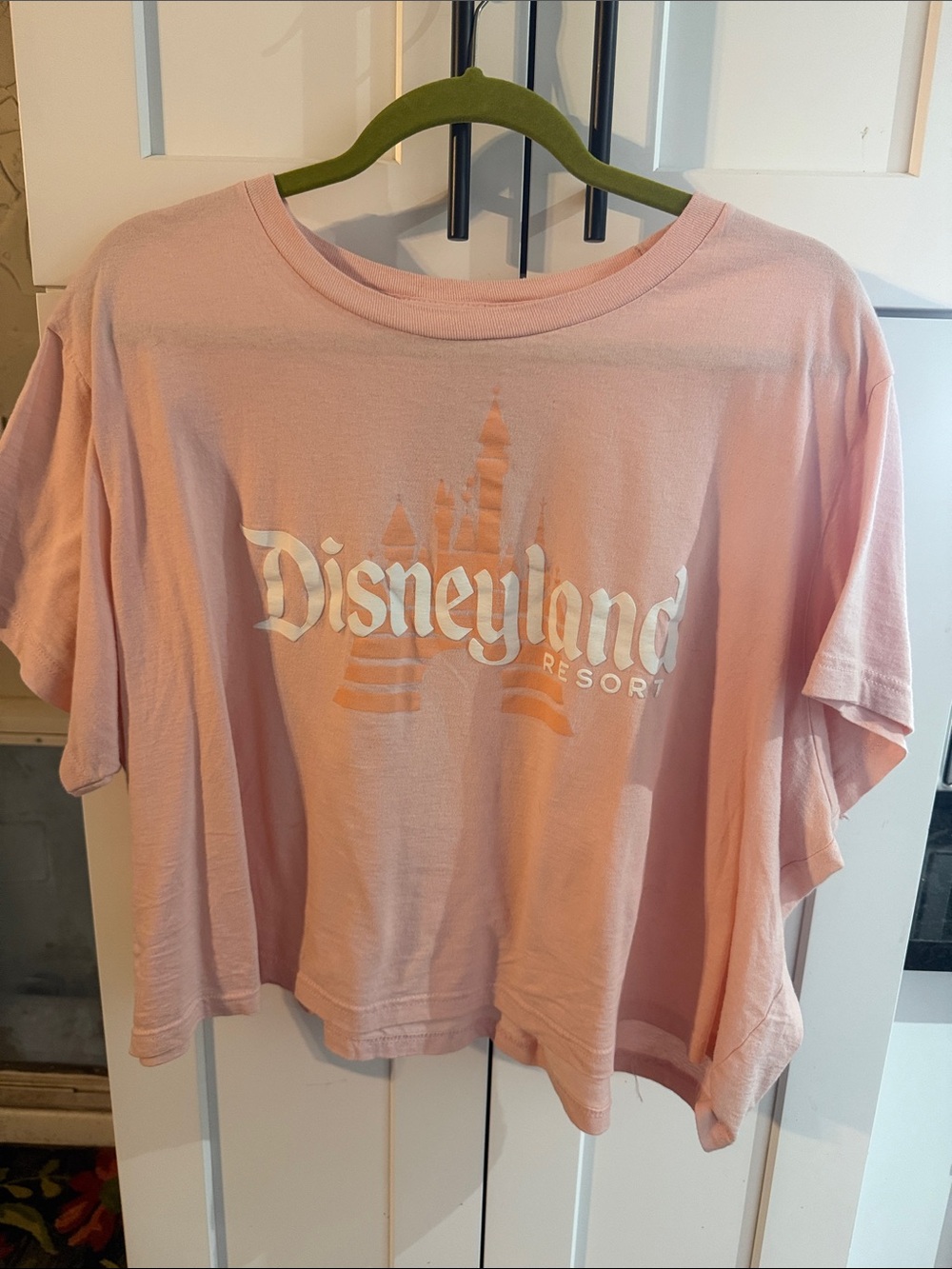 Disney Pink cropped Disneyland Resort Graphic Tee 2X